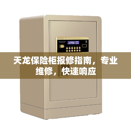 天龙保险柜报修指南，专业维修，快速响应