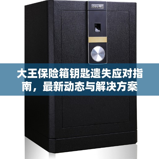 大王保险箱钥匙遗失应对指南，最新动态与解决方案