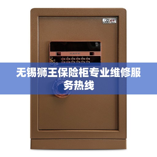无锡狮王保险柜专业维修服务热线