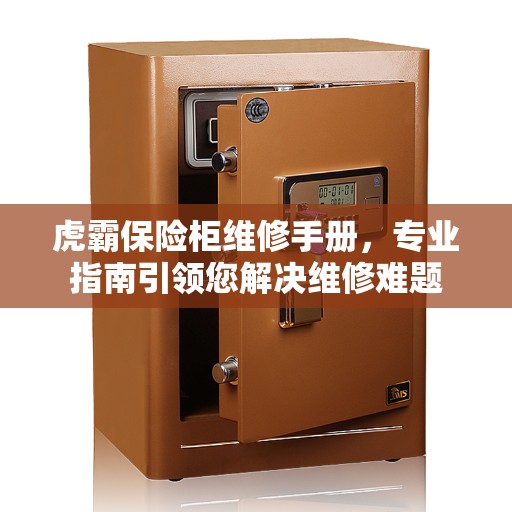 虎霸保险柜维修手册，专业指南引领您解决维修难题