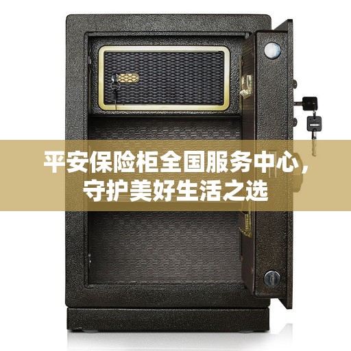 平安保险柜全国服务中心,守护美好生活之选 平安保险柜全国服务中心,守护美好生活之选