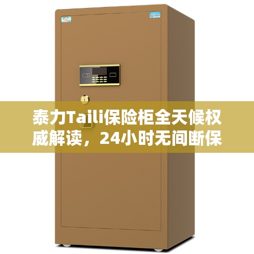 泰力Taili保险柜全天候权威解读，24小时无间断保护