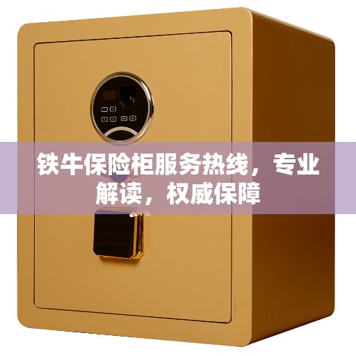 铁牛保险柜服务热线，专业解读，权威保障