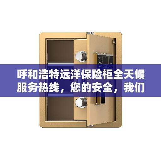 呼和浩特远洋保险柜全天候服务热线，您的安全，我们随时守护