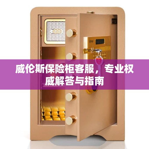 威伦斯保险柜客服，专业权威解答与指南