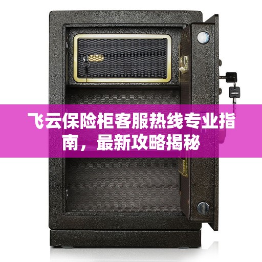 飞云保险柜客服热线专业指南，最新攻略揭秘