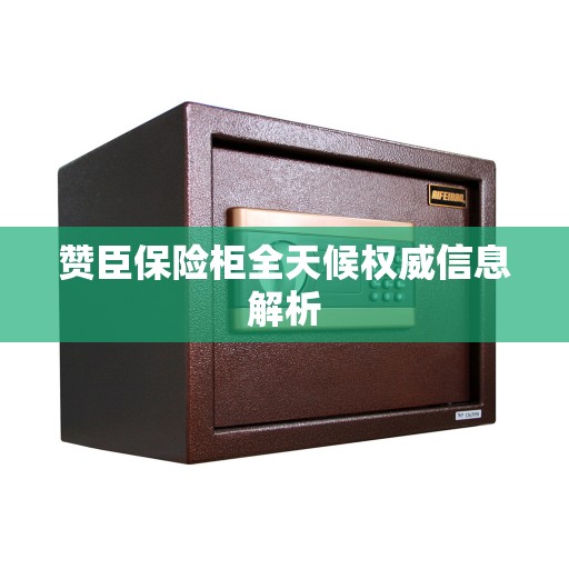赞臣保险柜全天候权威信息解析