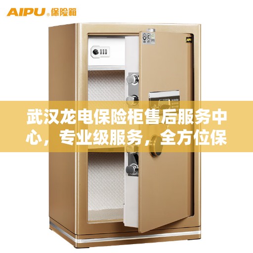 武汉龙电保险柜售后服务中心，专业级服务，全方位保障您的安全之选