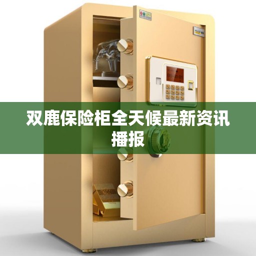双鹿保险柜全天候最新资讯播报