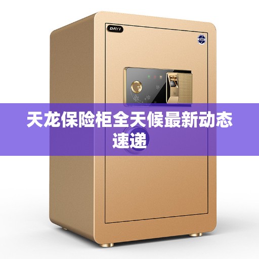 天龙保险柜全天候最新动态速递