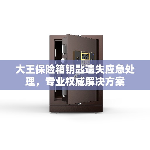 大王保险箱钥匙遗失应急处理，专业权威解决方案