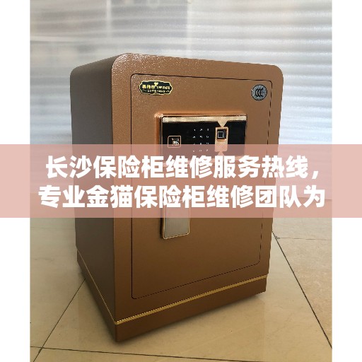 长沙保险柜维修服务热线，专业金猫保险柜维修团队为您解答疑惑