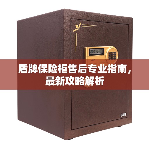 盾牌保险柜售后专业指南，最新攻略解析