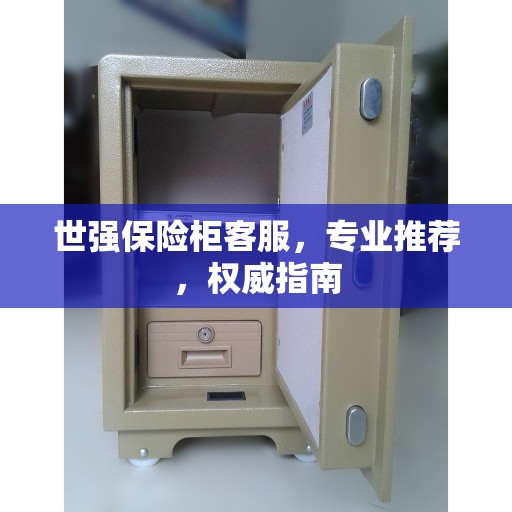世强保险柜客服，专业推荐，权威指南