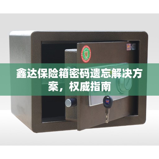 鑫达保险箱密码遗忘解决方案，权威指南