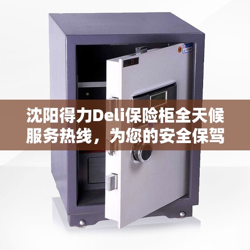 沈阳得力Deli保险柜全天候服务热线，为您的安全保驾护航