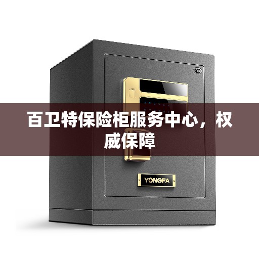 百卫特保险柜服务中心，权威保障