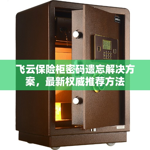 飞云保险柜密码遗忘解决方案，最新权威推荐方法