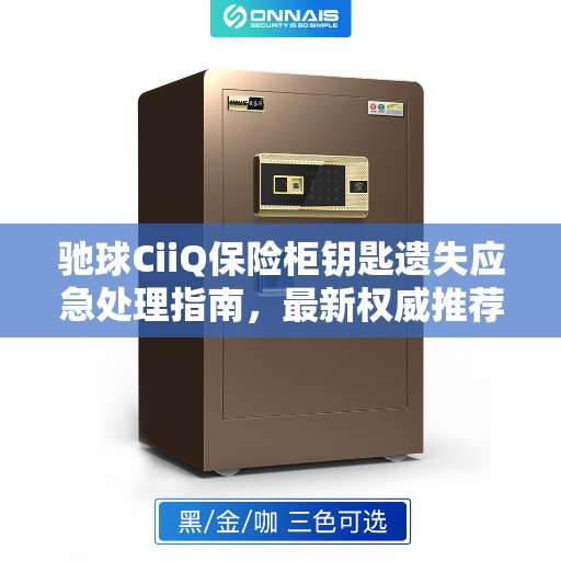 驰球CiiQ保险柜钥匙遗失应急处理指南，最新权威推荐解决方案