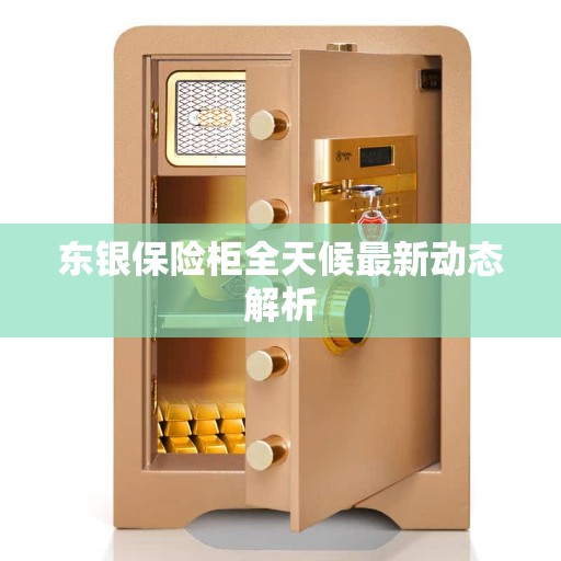 东银保险柜全天候最新动态解析