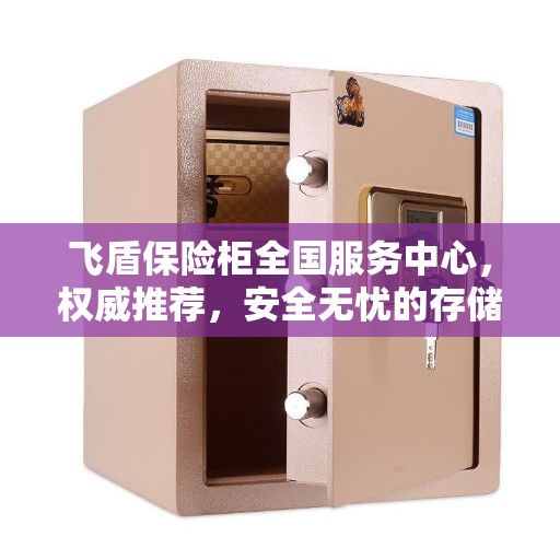 飞盾保险柜全国服务中心，权威推荐，安全无忧的存储解决方案