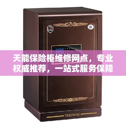 天能保险柜维修网点，专业权威推荐，一站式服务保障