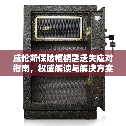 威伦斯保险柜钥匙遗失应对指南，权威解读与解决方案