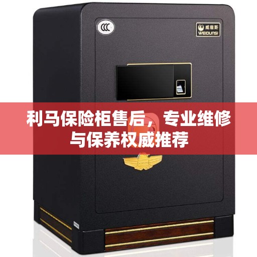 利马保险柜售后，专业维修与保养权威推荐