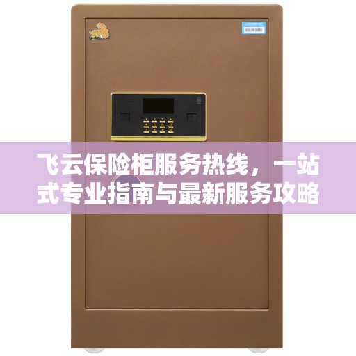 飞云保险柜服务热线，一站式专业指南与最新服务攻略