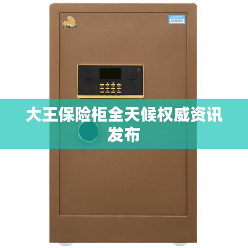 大王保险柜全天候权威资讯发布