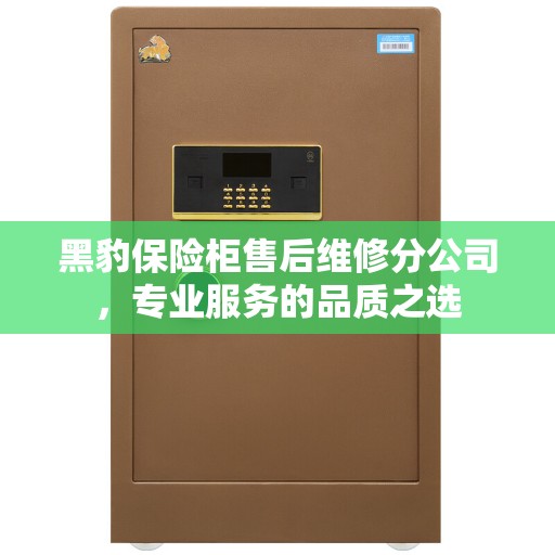 黑豹保险柜售后维修分公司，专业服务的品质之选
