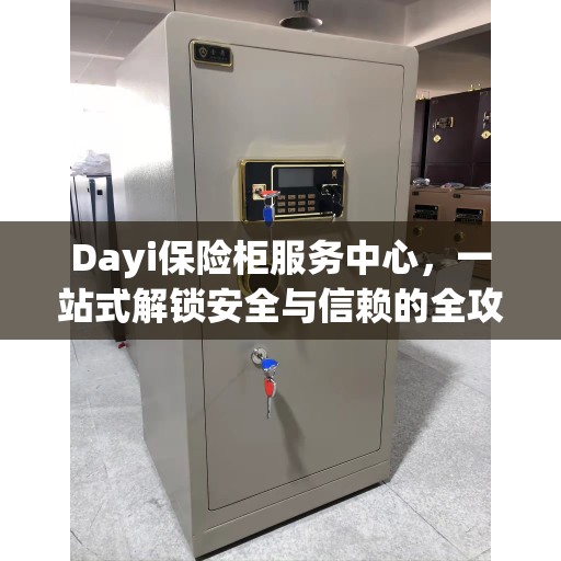Dayi保险柜服务中心，一站式解锁安全与信赖的全攻略