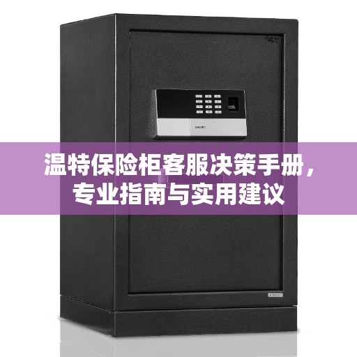 温特保险柜客服决策手册，专业指南与实用建议