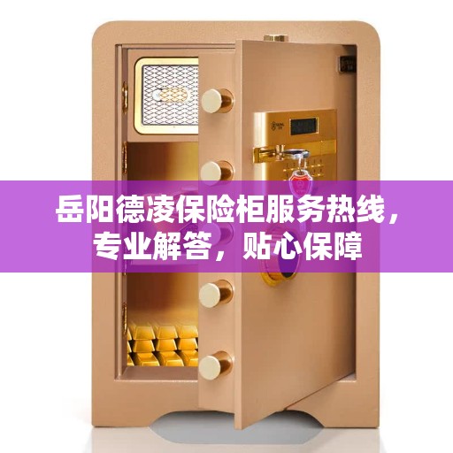 岳阳德凌保险柜服务热线，专业解答，贴心保障