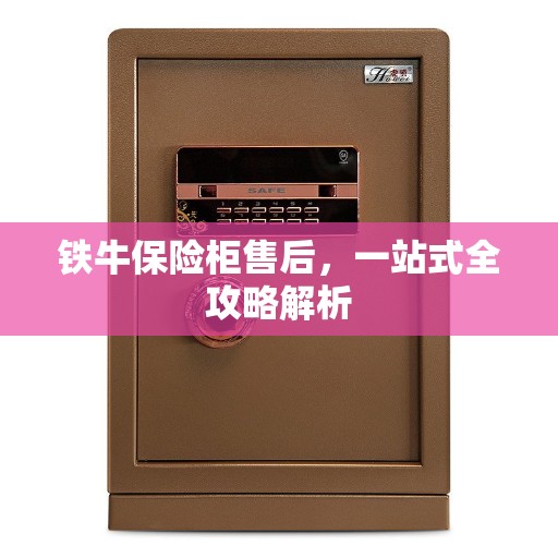 铁牛保险柜售后，一站式全攻略解析