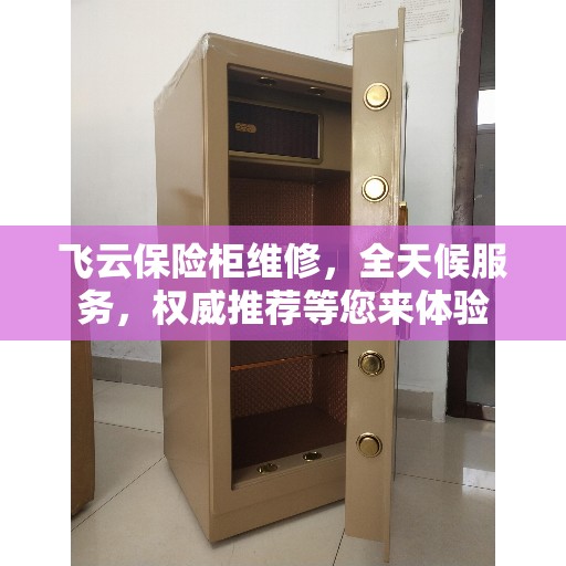 飞云保险柜维修，全天候服务，权威推荐等您来体验