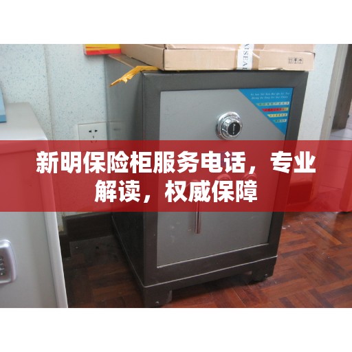 新明保险柜服务电话，专业解读，权威保障