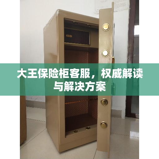 大王保险柜客服,权威解读与解决方案 大王保险柜客服,权威解读与解决方案