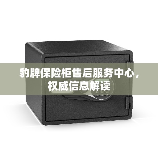 豹牌保险柜售后服务中心，权威信息解读
