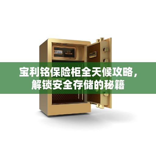 宝利铭保险柜全天候攻略，解锁安全存储的秘籍