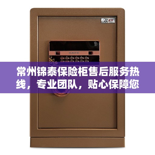 常州锦泰保险柜售后服务热线，专业团队，贴心保障您的安全需求。