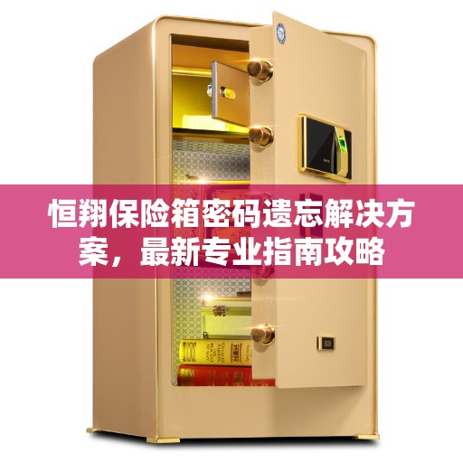 恒翔保险箱密码遗忘解决方案，最新专业指南攻略