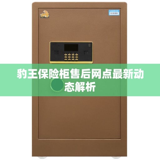 豹王保险柜售后网点最新动态解析