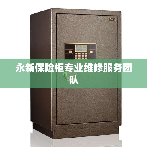 永新保险柜专业维修服务团队