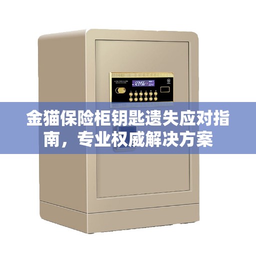 金猫保险柜钥匙遗失应对指南，专业权威解决方案