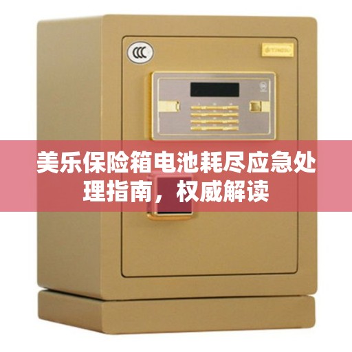 美乐保险箱电池耗尽应急处理指南，权威解读