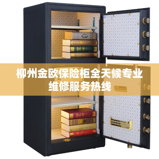 柳州金欧保险柜全天候专业维修服务热线 柳州金欧保险柜全天候专业维修服务热线