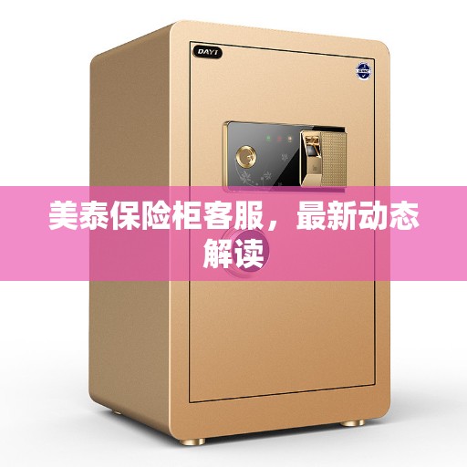 美泰保险柜客服，最新动态解读