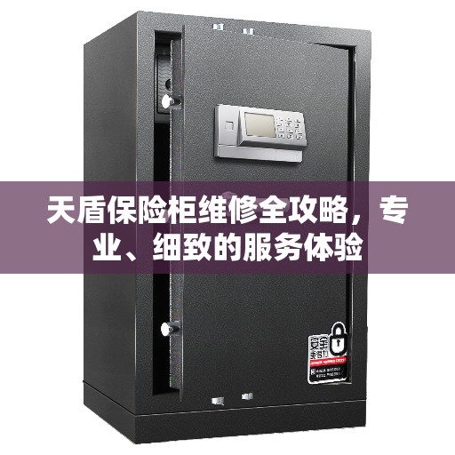天盾保险柜维修全攻略，专业、细致的服务体验