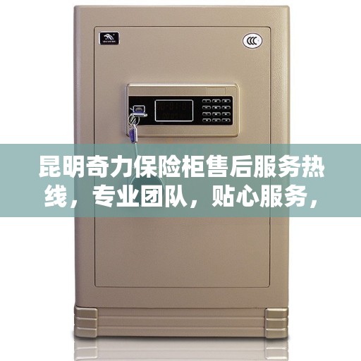 昆明奇力保险柜售后服务热线，专业团队，贴心服务，为您的安全保驾护航！